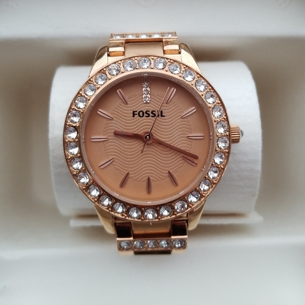 Fossil Watch